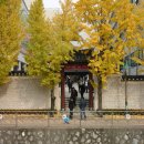 대건고등학교 이미지