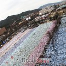 보성남부교회, 보성복된교회, 화순중부교회, 화순꿈있는교회, 광주교회(매곡동)에서 신천지로~ 이미지