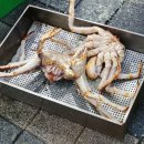 투앤비 - 창원시 성산구 | 주문진 수산시장 대게,홍게 싸게먹는법! 풍물시장 대게5kg 5만원 찐 후기♡