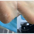 레푸스서초교대역점 이미지