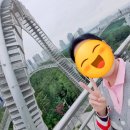 어린이도서관 소공연장 | 포항 갈볼만한곳 환호공원 스페이스워크 아찔한 체험