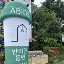 대성리역 카페 에이바이드, 내돈내산 솔직후기