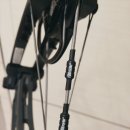 쿠마(KUMA) 이미지