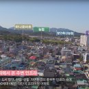퍼스트아라 이미지