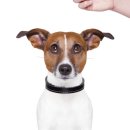 파파동물병원 이미지