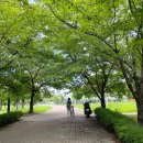 울산 명촌 근린공원 물놀이장 개장 주말 운영 중