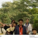 도라산식당 이미지