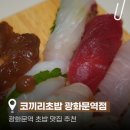 광화문 점심 초밥ㅣ코끼리초밥 광화문역 맛집 스시