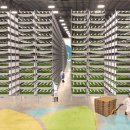 대안농장 이미지