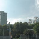 우성부동산