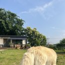 이천촌캉스 이미지