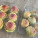 훈훈한 과일 중동 이미지