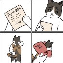 칠암동 동물약국 호호약국 | 그렇지만 어쩌겠습니까, 해내야죠