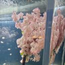 선류산장 네이버블로그