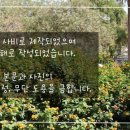 커피방(coffee BAANG) 이미지