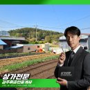 (주)성토개발 | 기장 신천리 토지매매, 이 땅을 사도 괜찮을까요? 직접 가본 후기입니다