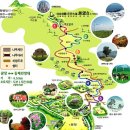 횡계2리 | (평창여행/대관령)삼양목장 - 횡계터미널에서 목장까지 도보로 가기!!