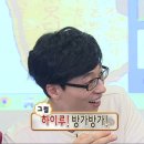 반려동물 애견 미용 이미지