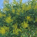 실로암 힐링홈 이미지