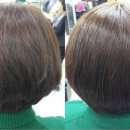 김영란헤어샵