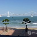 오수 연합뉴스
