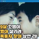 한이에너지 | 안녕, 형아 (2005)영화 후기 결말 줄거리 정보 출연진, 뇌종양 형을 살리고 싶은 한이의 슬픈 동화