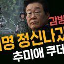 감방간다 ! 이재명 정신 나갔다! 추미애 쿠데타! 이미지