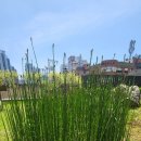 광안1-302 이미지