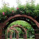 해돋이공원(관리사무소) 이미지