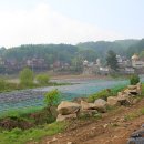 숲속의요정 이미지