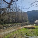 초이지아 이미지