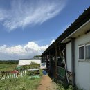 너도나도 | 제주액티비티 커플여행 필수코스 너도나도ATV 존잼후기