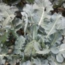 희식농장 이미지