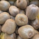 도매상회 이미지