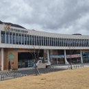 션샤인캣 이미지