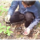 대오농장 이미지