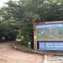 서귀포자연휴양림 이미지