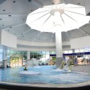 스프링폴 이미지