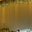 디아크리조트 이미지