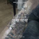 인계동작업실