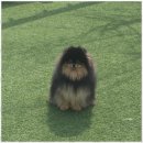 아로하스토리 이미지