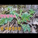 선학초등학교 이미지