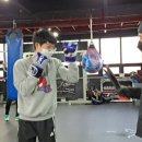과천복싱체육관 이미지