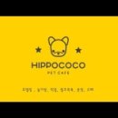 히포코코 이미지