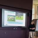 딩켈언덕 | 스위스와 독일을 넘나든 여행.