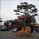 대추나무집 이미지