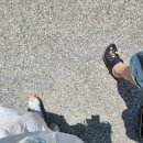 디저트갤러리 | 강릉 카페 추천, 초당옥수수 커피 맛집, 초당옥수수 디저트, 갤러리밥스, 주차 및 웨이팅, 방문 후기