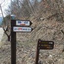 학강 이미지