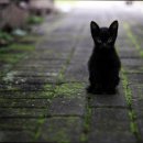 자하문호텔 이미지