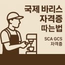 바리스타C (3개월 과정) | 국제 바리스타 자격증 따는법 – 커피 전문가로 가는 첫걸음